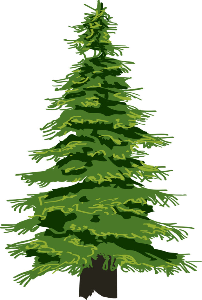 north carolina pine tree graphic